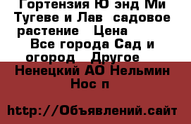 Гортензия Ю энд Ми Тугеве и Лав, садовое растение › Цена ­ 550 - Все города Сад и огород » Другое   . Ненецкий АО,Нельмин Нос п.